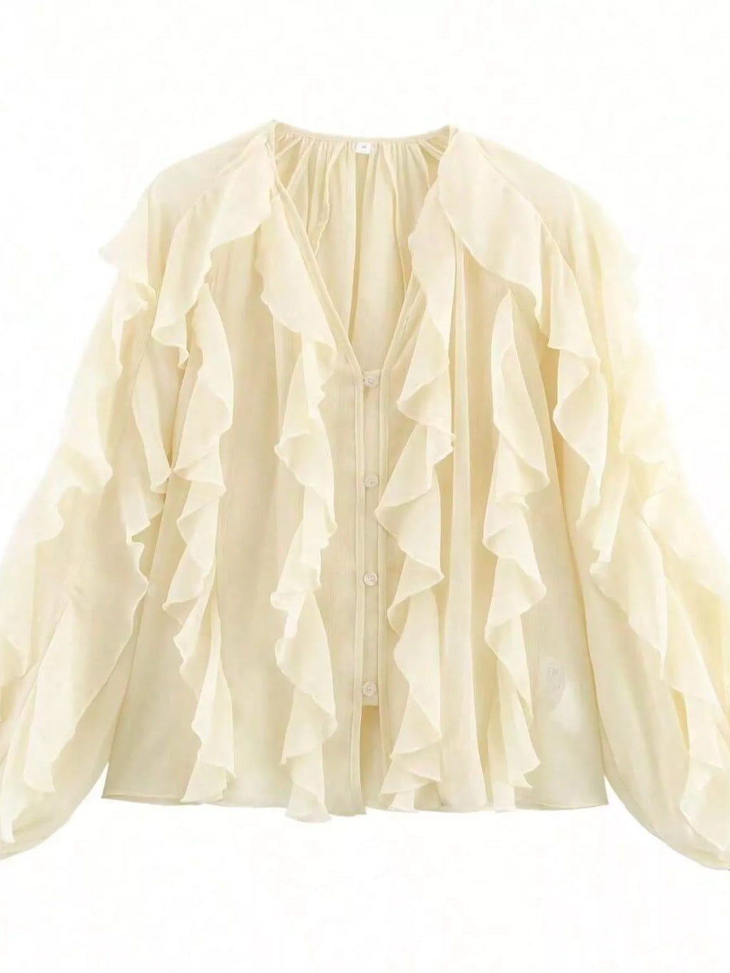 Ruffled Sheer Long Sleeve Blouse