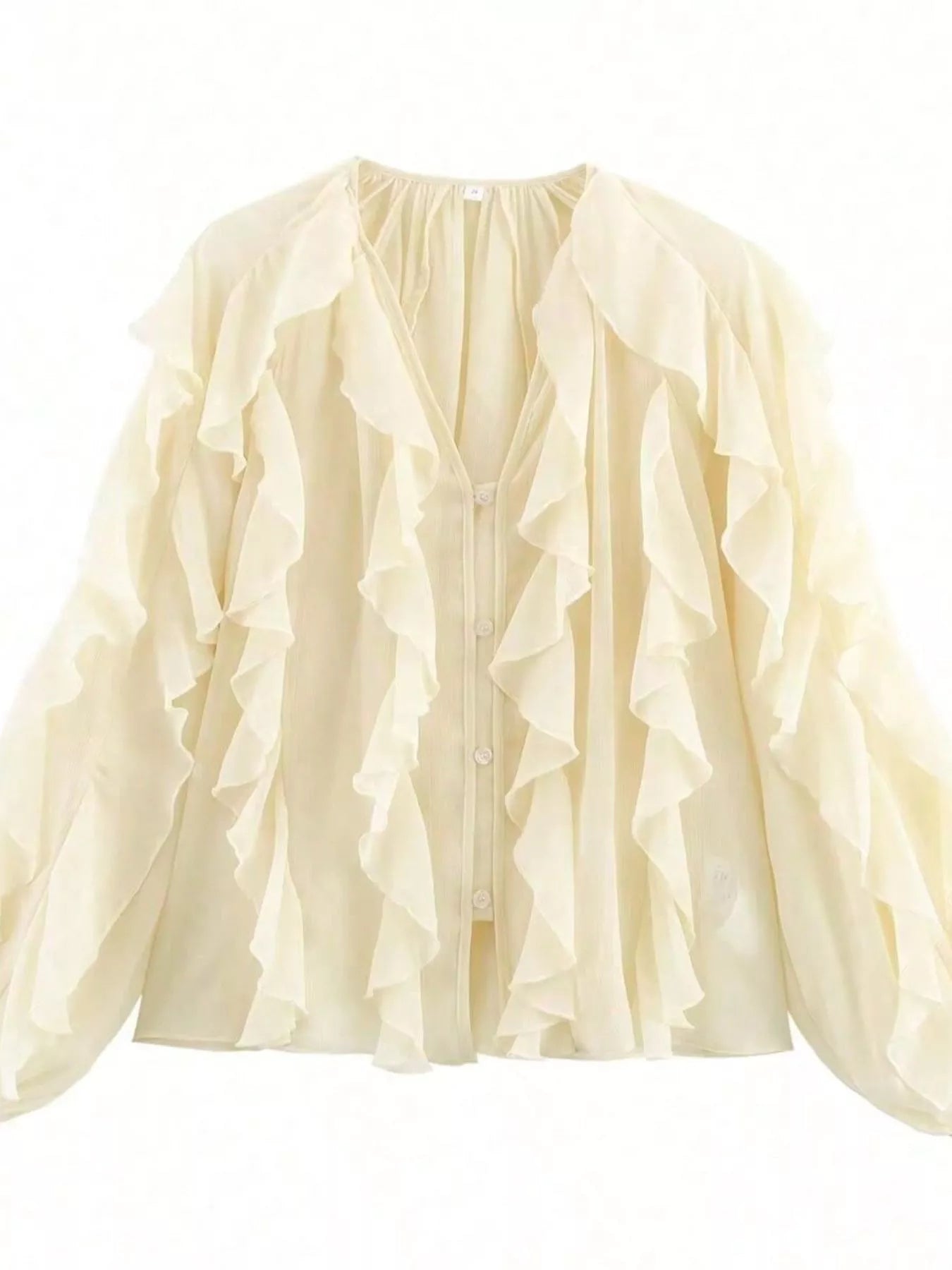 Ruffled Sheer Long Sleeve Blouse