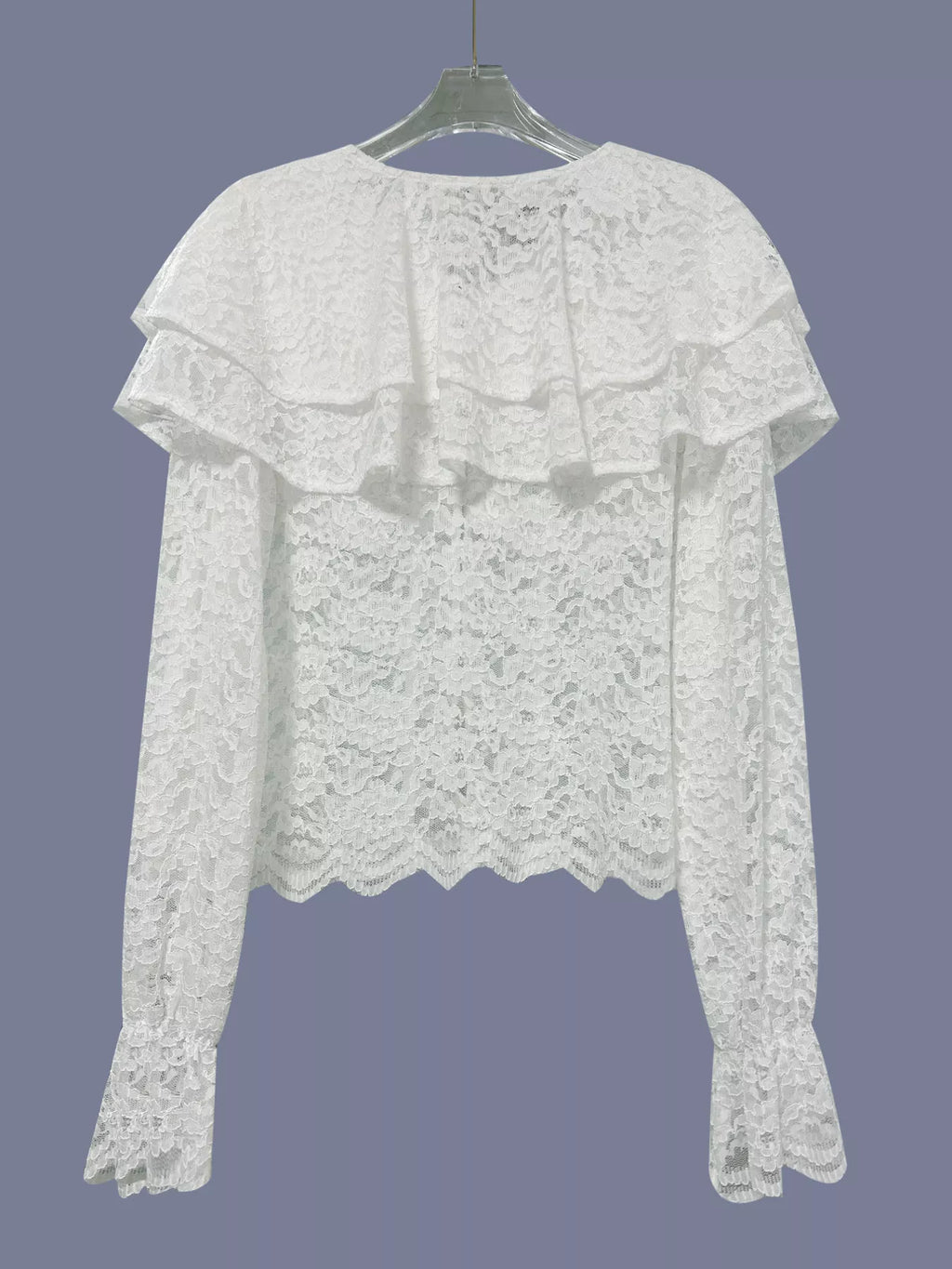 Ruffled Lace Flounce Sleeve Blouse
