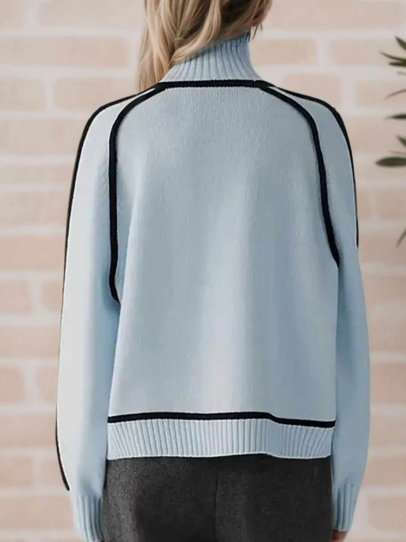 Contrast Trim Turtleneck Sweater