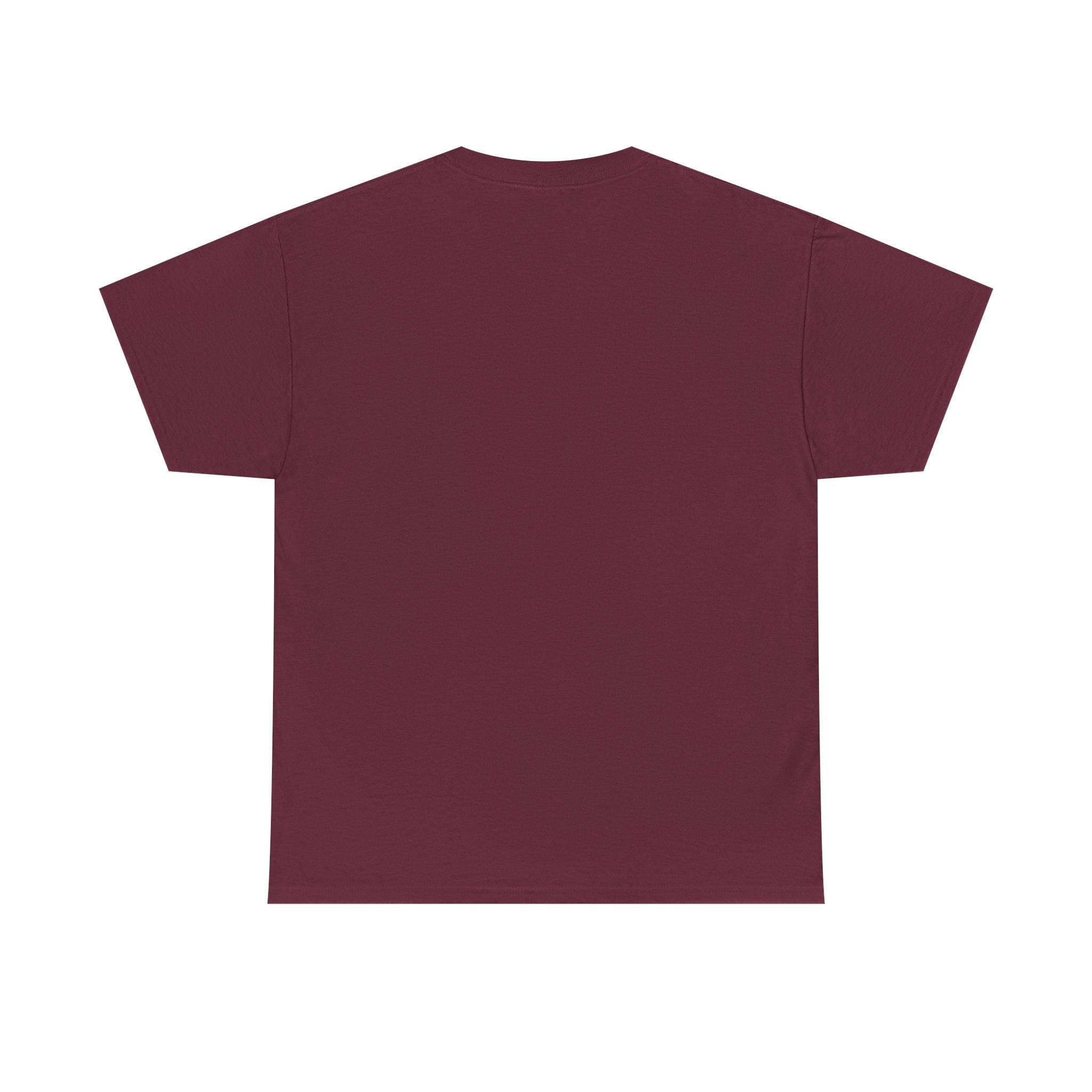 Created In His Image T-Shirt — Genesis 1:27 Inspirational Graphic Tee