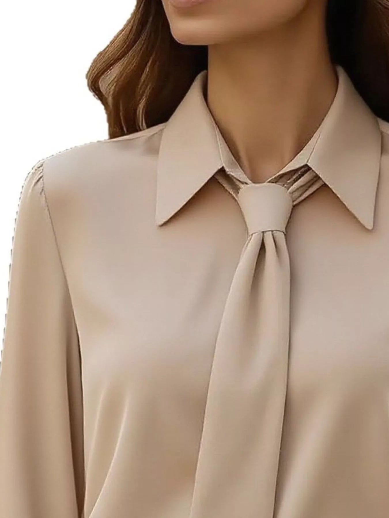 Collared Neck Long Sleeve Blouse