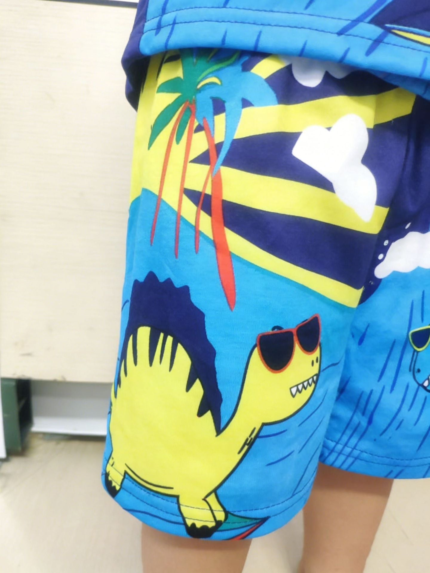 Children's Dinosaur Short Sleeve Tee and Shorts Set
