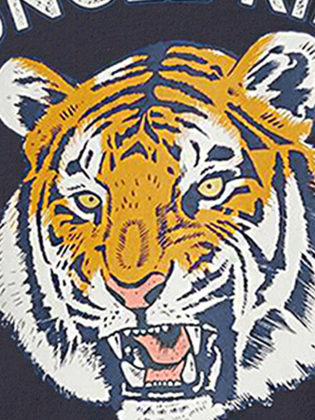 Children's Jungle King Tiger Graphic T-Shirt