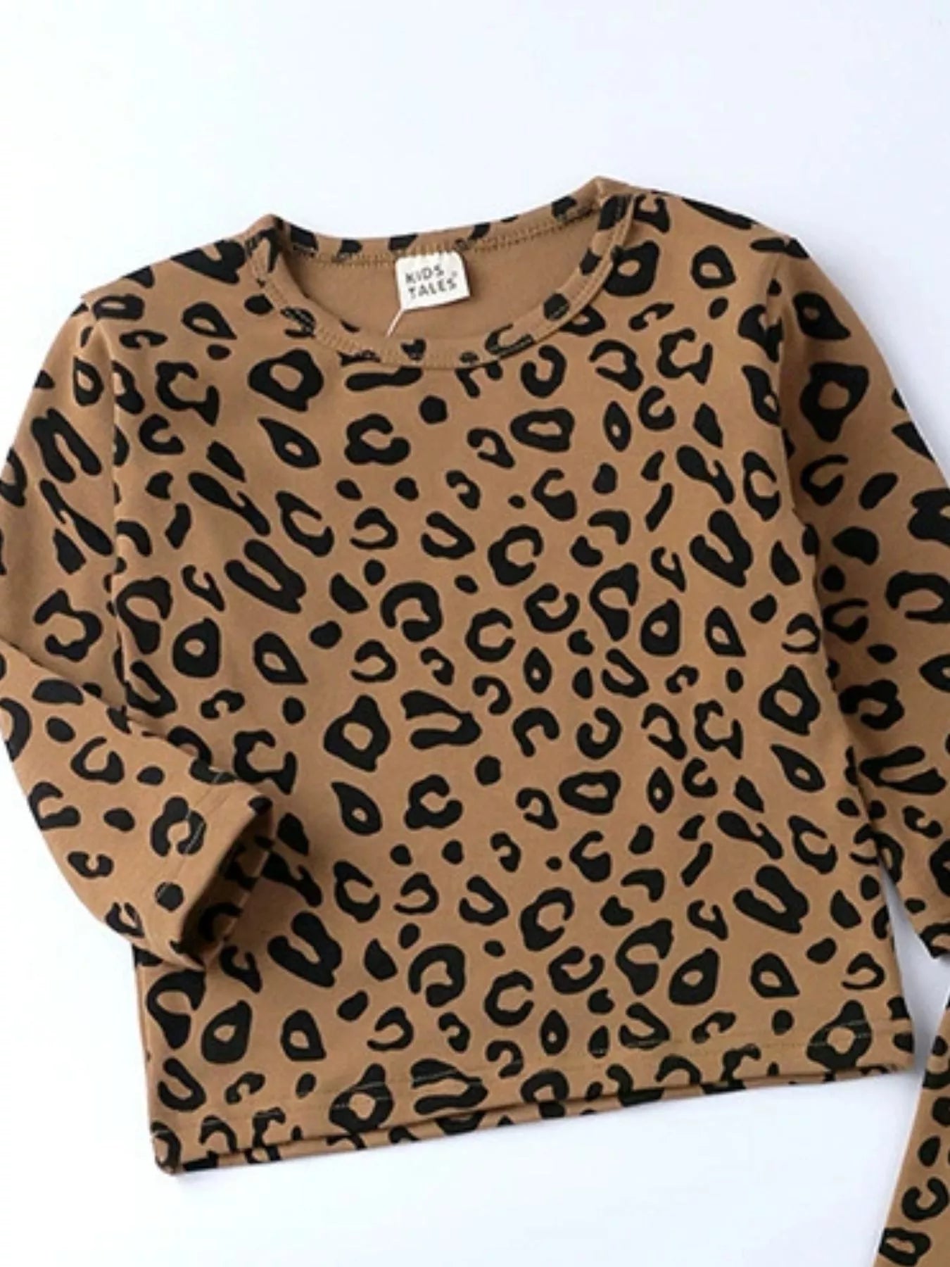 Children's Leopard Print Long Sleeve Top and Pants Set