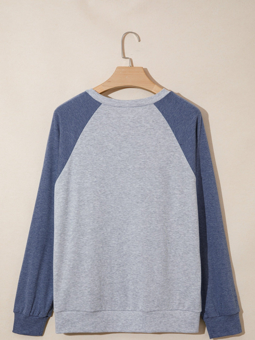 Color Block Flower Embroidered Patch Graphic Raglan Long Sleeve Top