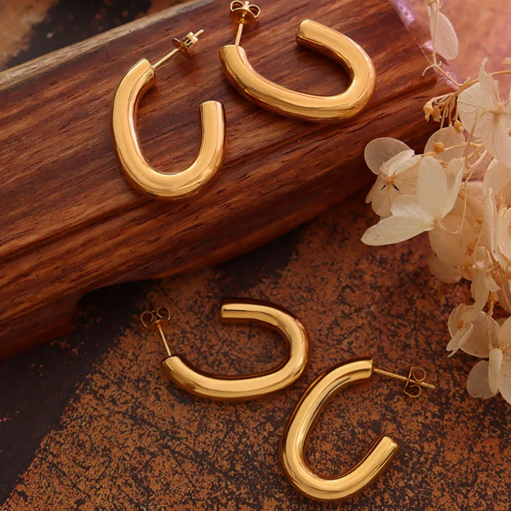 Titanium Steel Gold-Plated Earrings