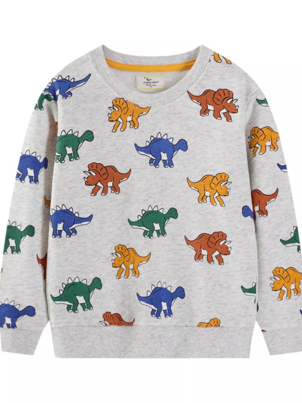 Children's Dinosaur Print Crew Neck Sweatshirt