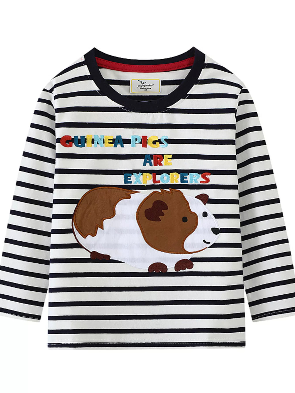 Children's Guinea Pig Explorer Striped Long Sleeve T-Shirt