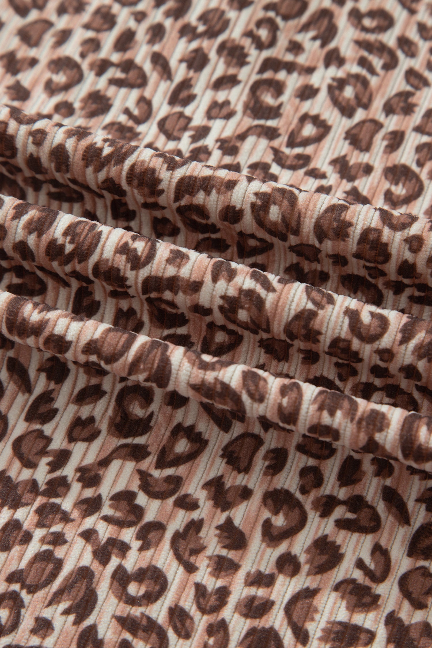 Leopard Ribbed Tee & Elastic Waist Shorts Set
