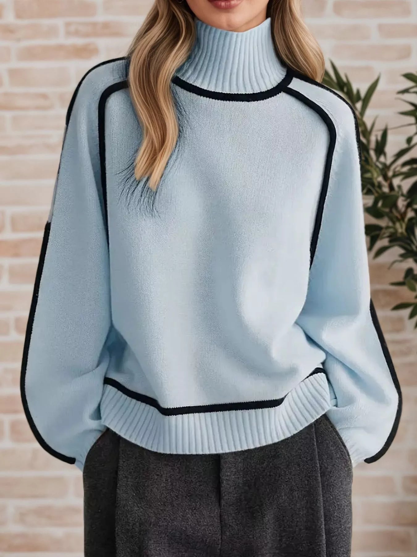 Contrast Trim Turtleneck Sweater