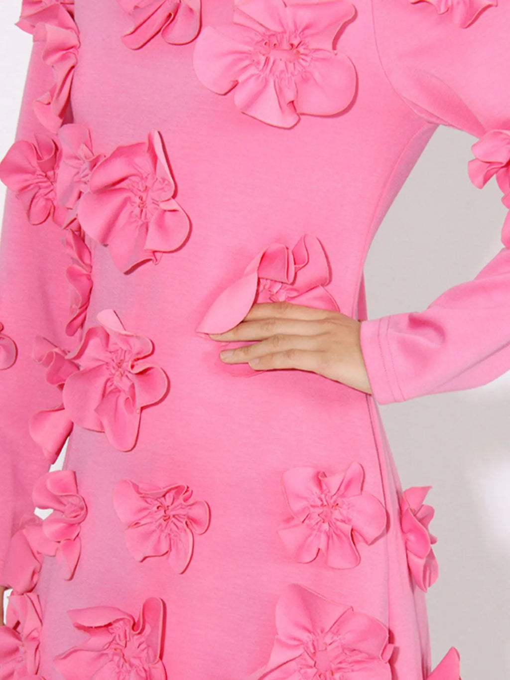 Floral Applique Long Sleeve Maxi Dress
