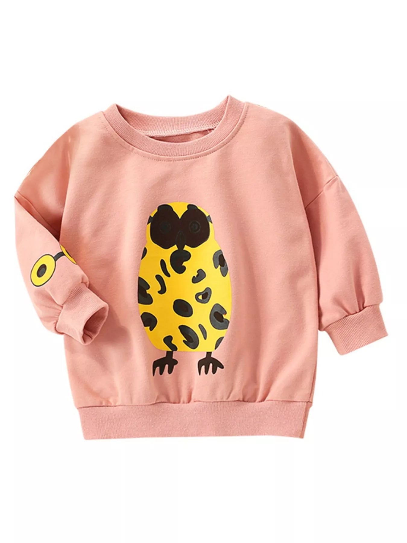 Children's Owl Graphic Crew Neck Sweatshirt