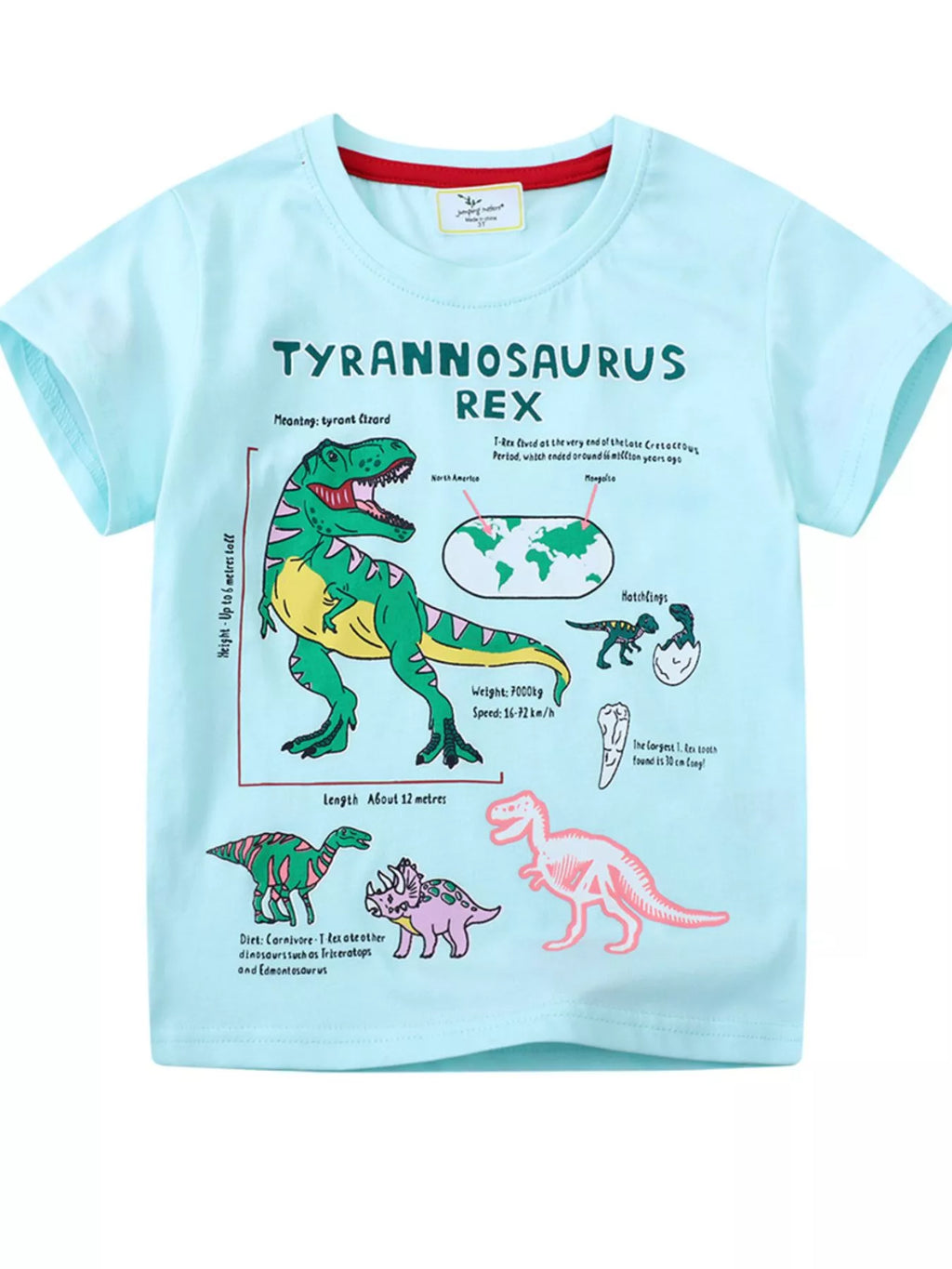 Children's Dinosaur Graphic Short Sleeve T-Shirt