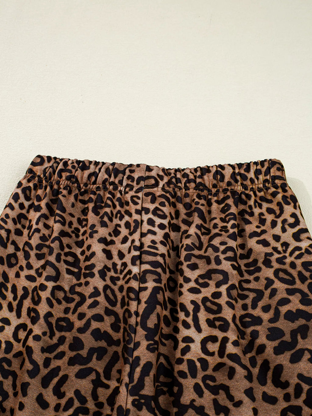 Leopard Print Contrast Trim Long Sleeve Top and Pants Set