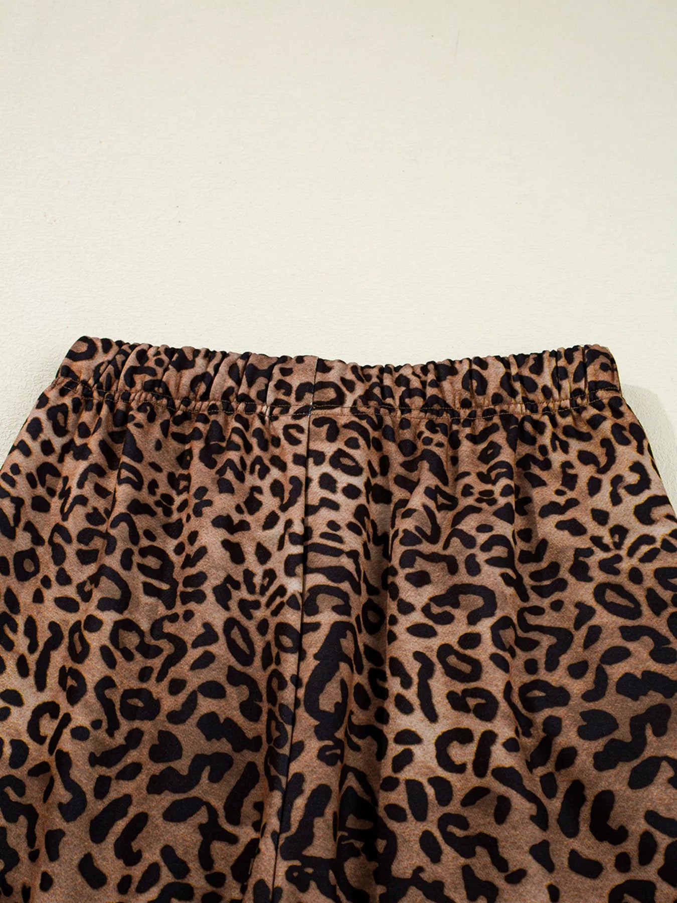 Leopard Print Contrast Trim Long Sleeve Top and Pants Set