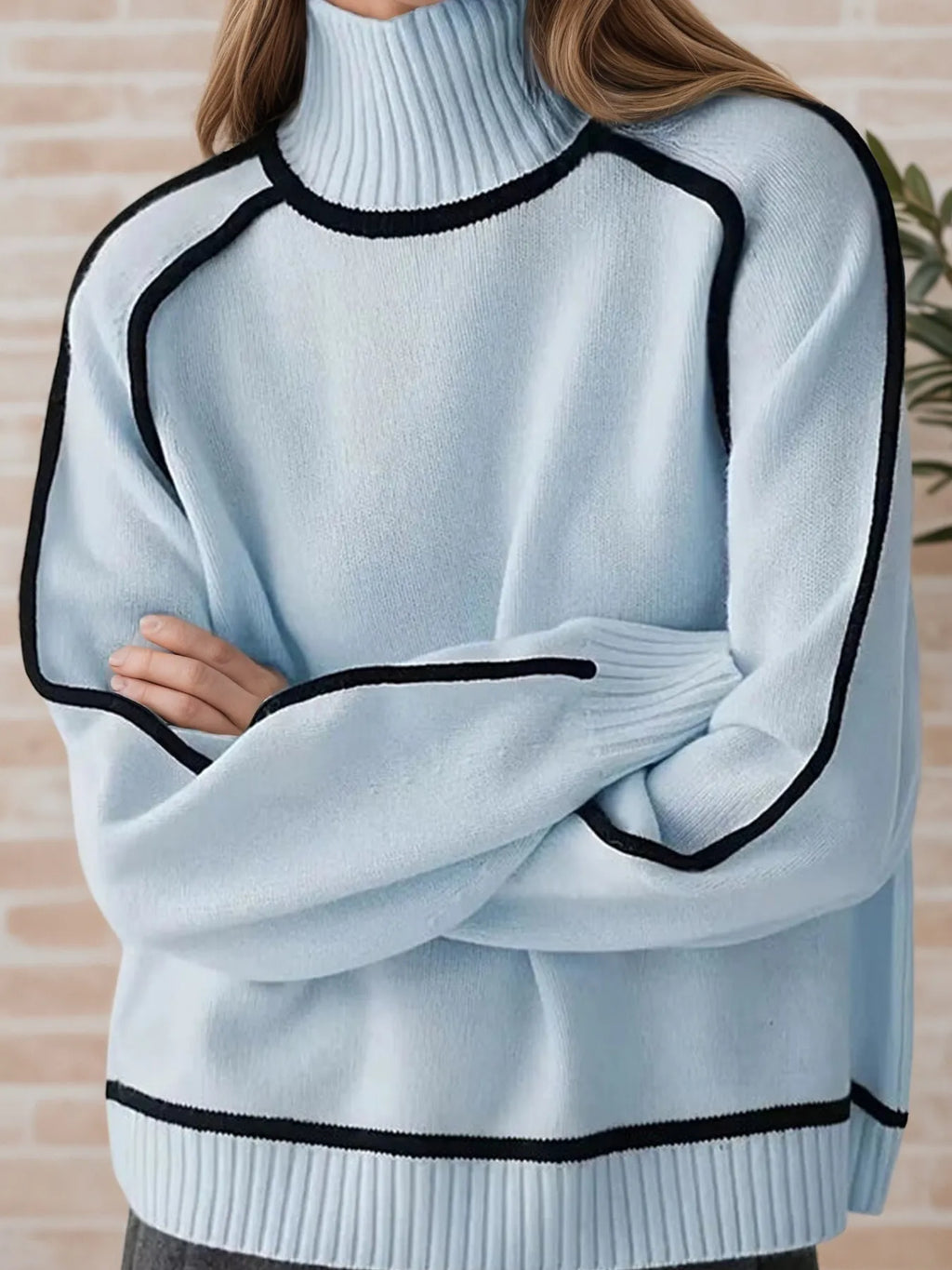 Contrast Trim Turtleneck Sweater