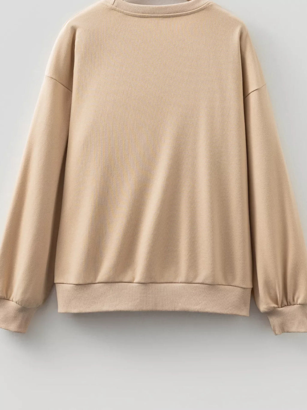 Embroidered Flower Pattern Drop Shoulder Sweatshirt