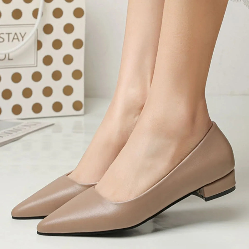 Pointed Toe Low Heel Pump
