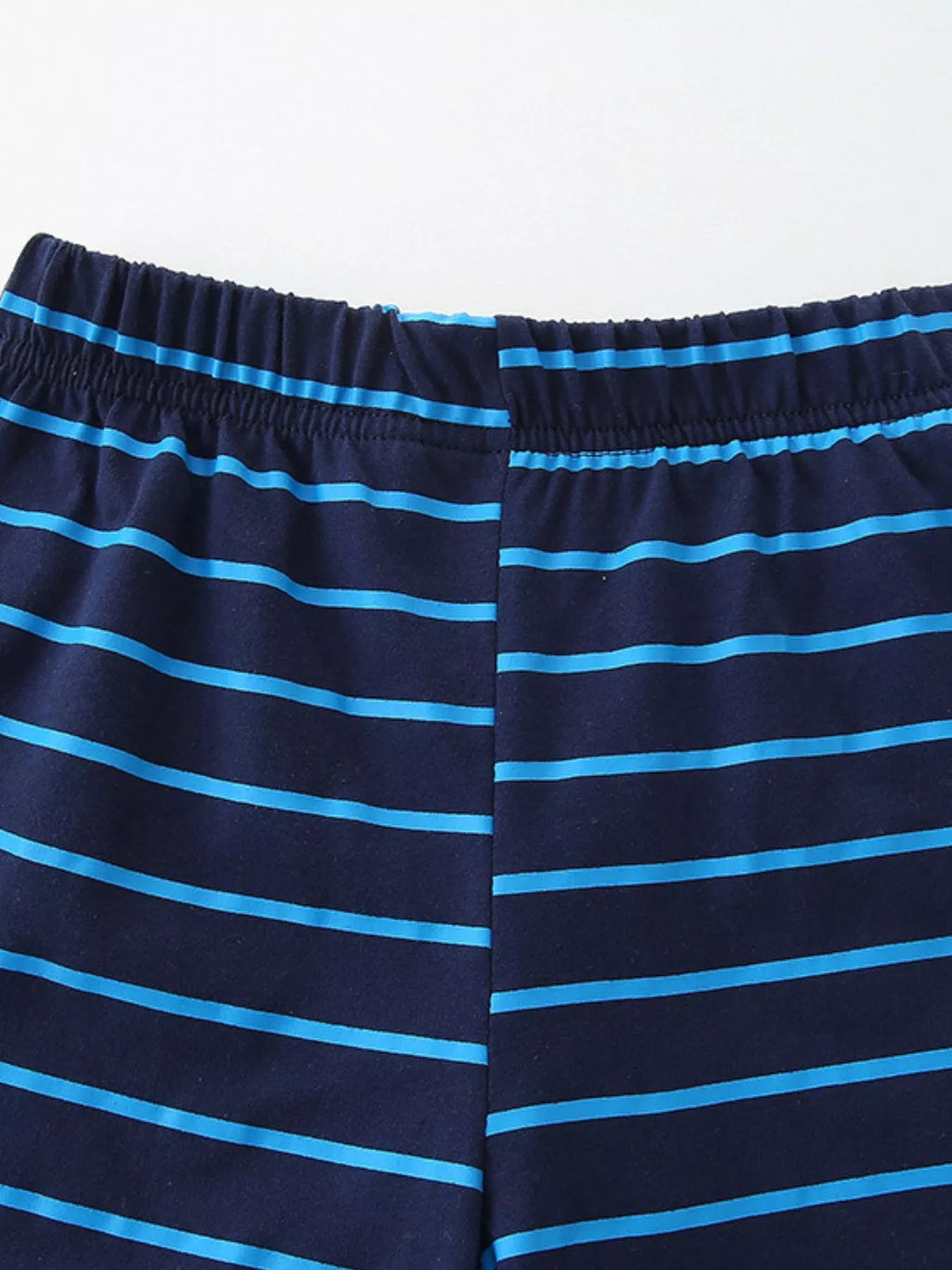 Children's Tiger Graphic Top and Striped Shorts Set