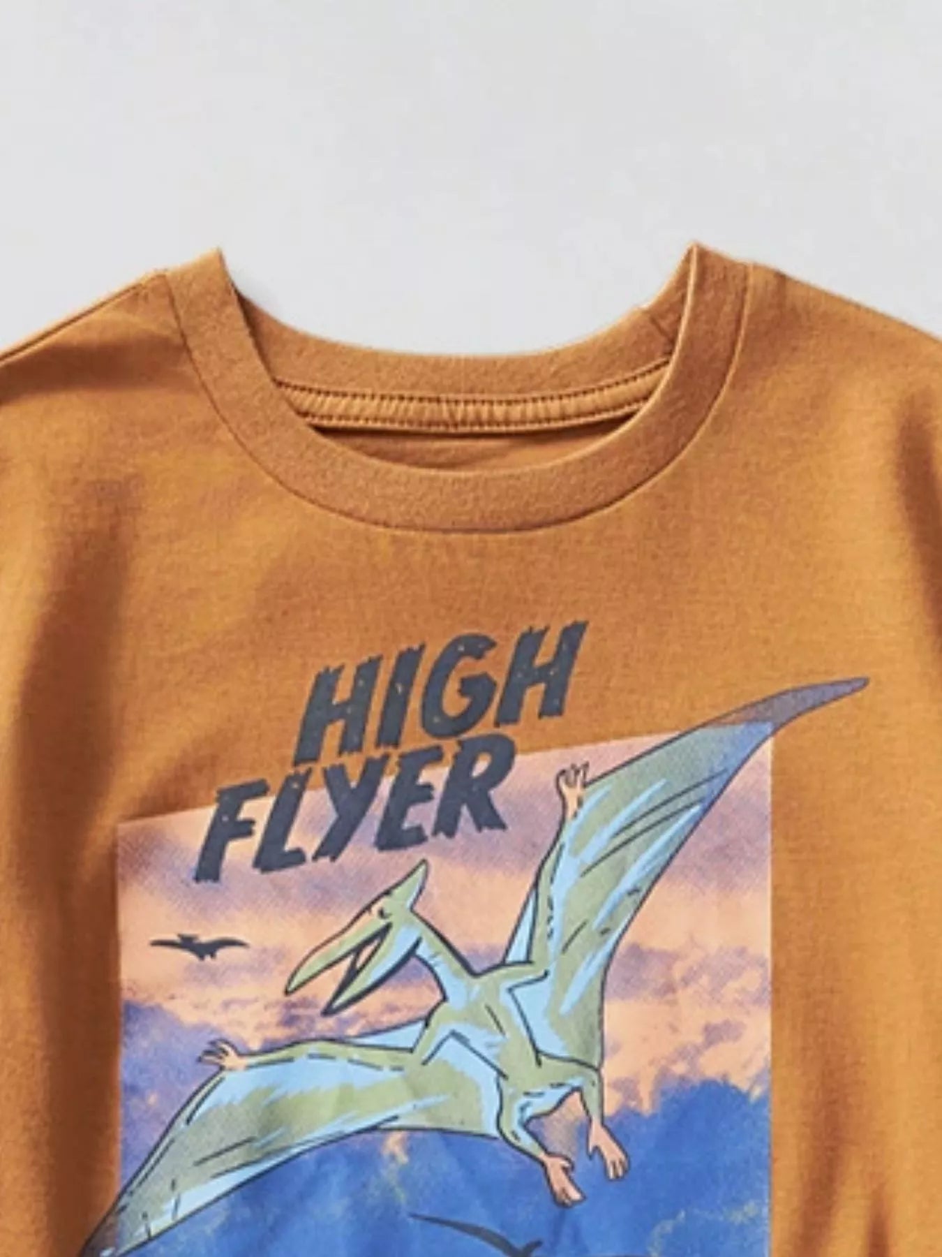 Children's Dinosaur Triceratops Graphic T-Shirt