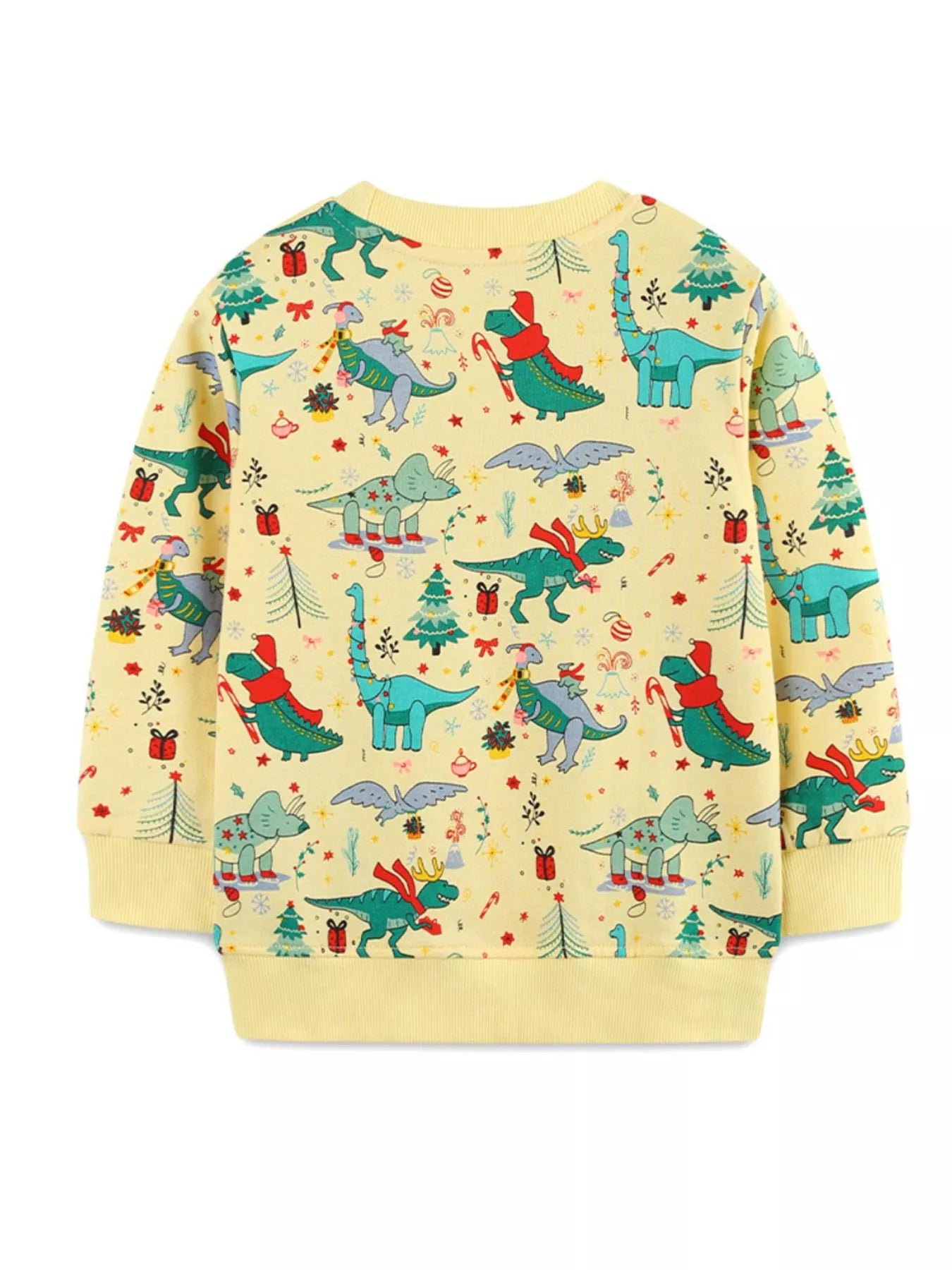 Children‘s Dinosaur Print Long Sleeve Sweatshirt