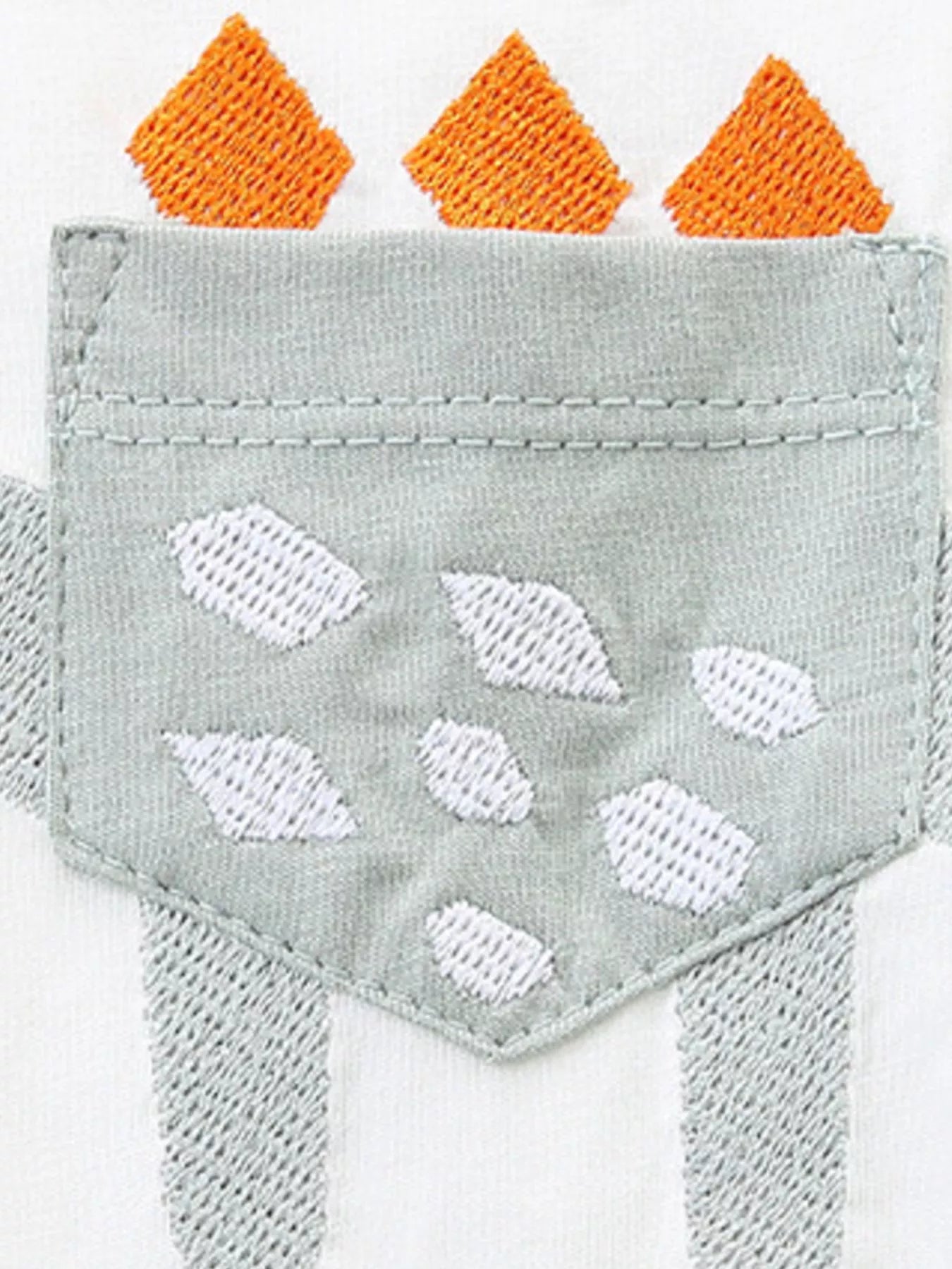Children's Dinosaur Short Sleeve Tee and Shorts Set