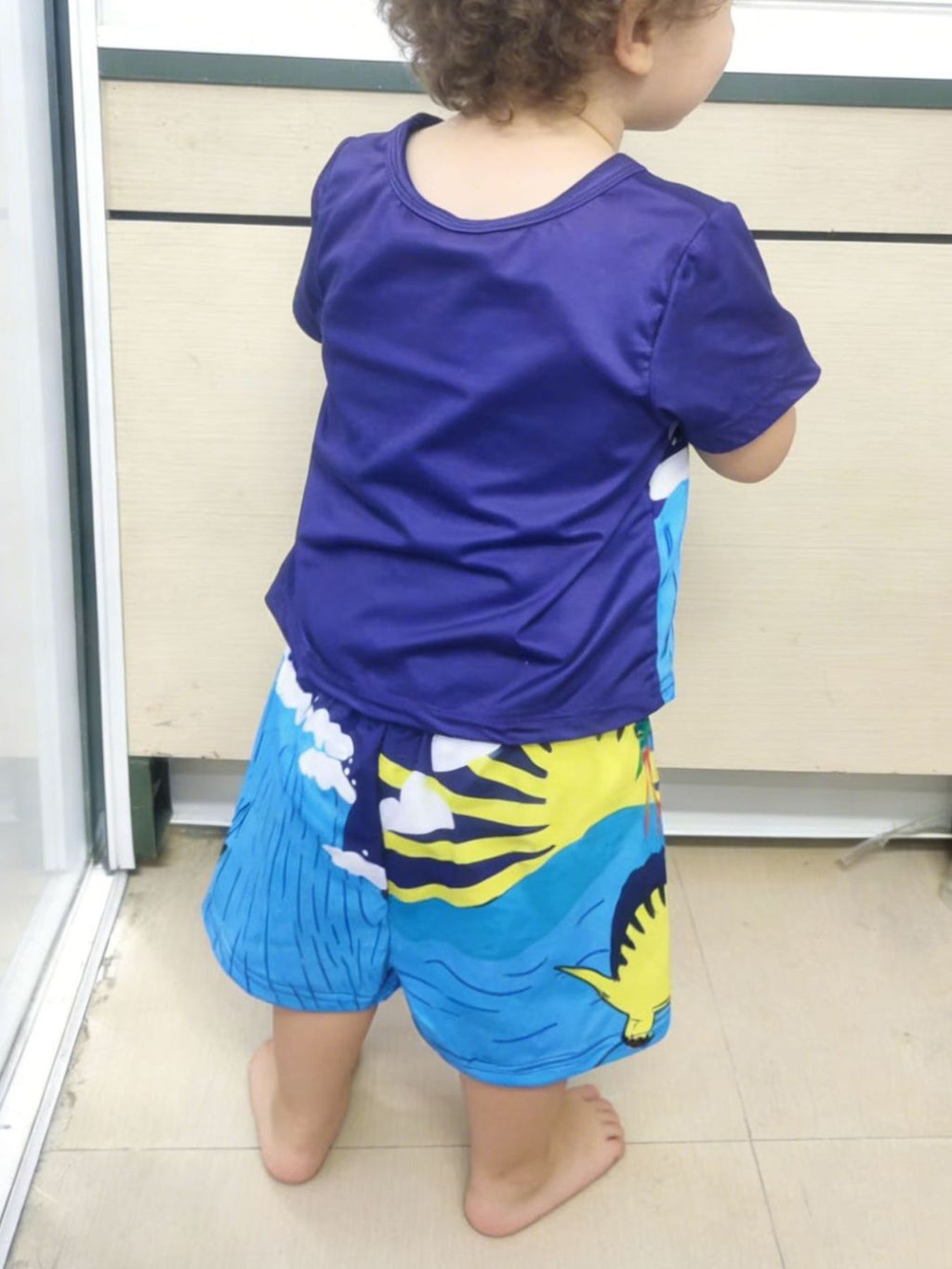 Children's Dinosaur Short Sleeve Tee and Shorts Set
