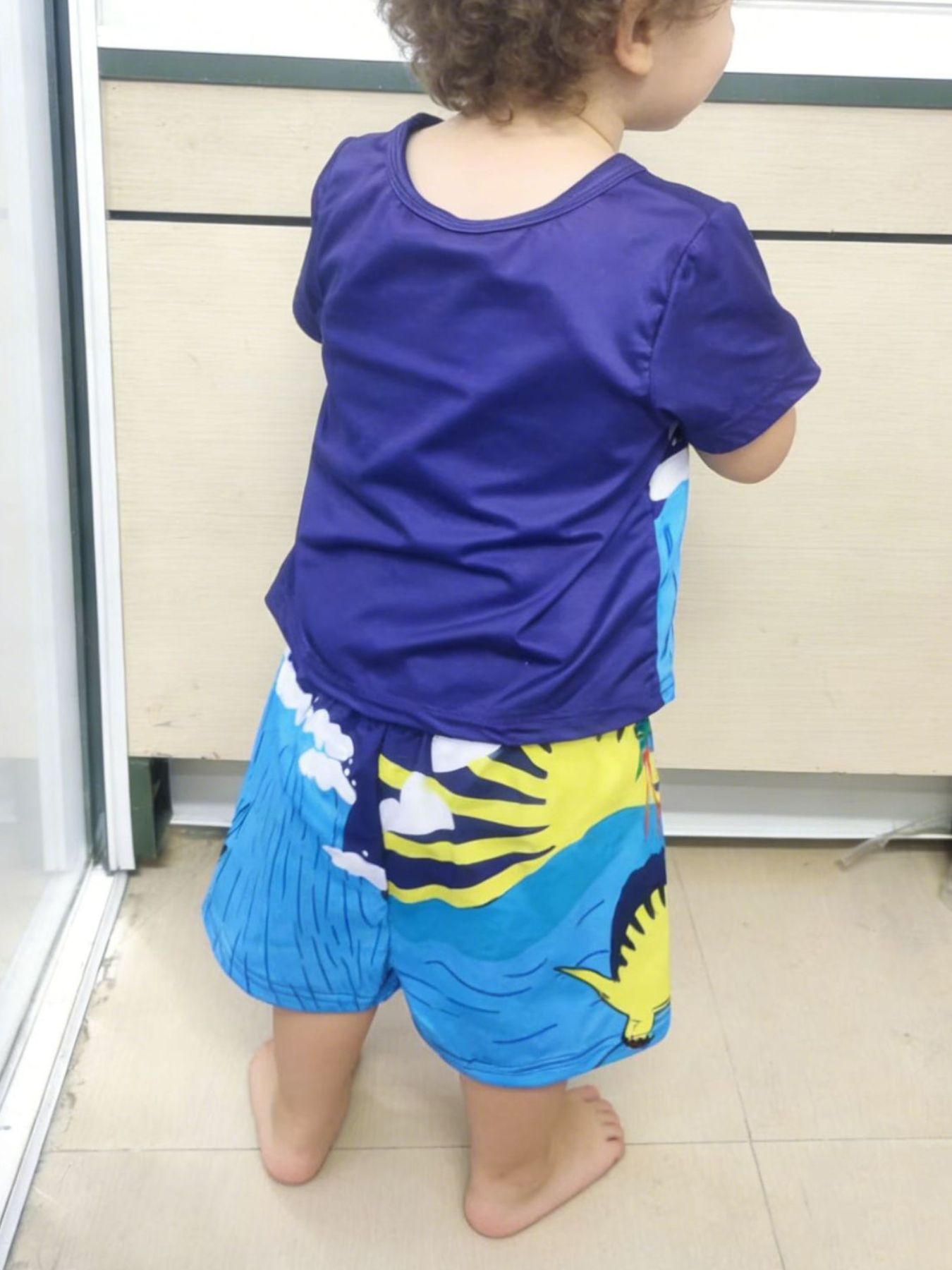Children's Dinosaur Short Sleeve Tee and Shorts Set