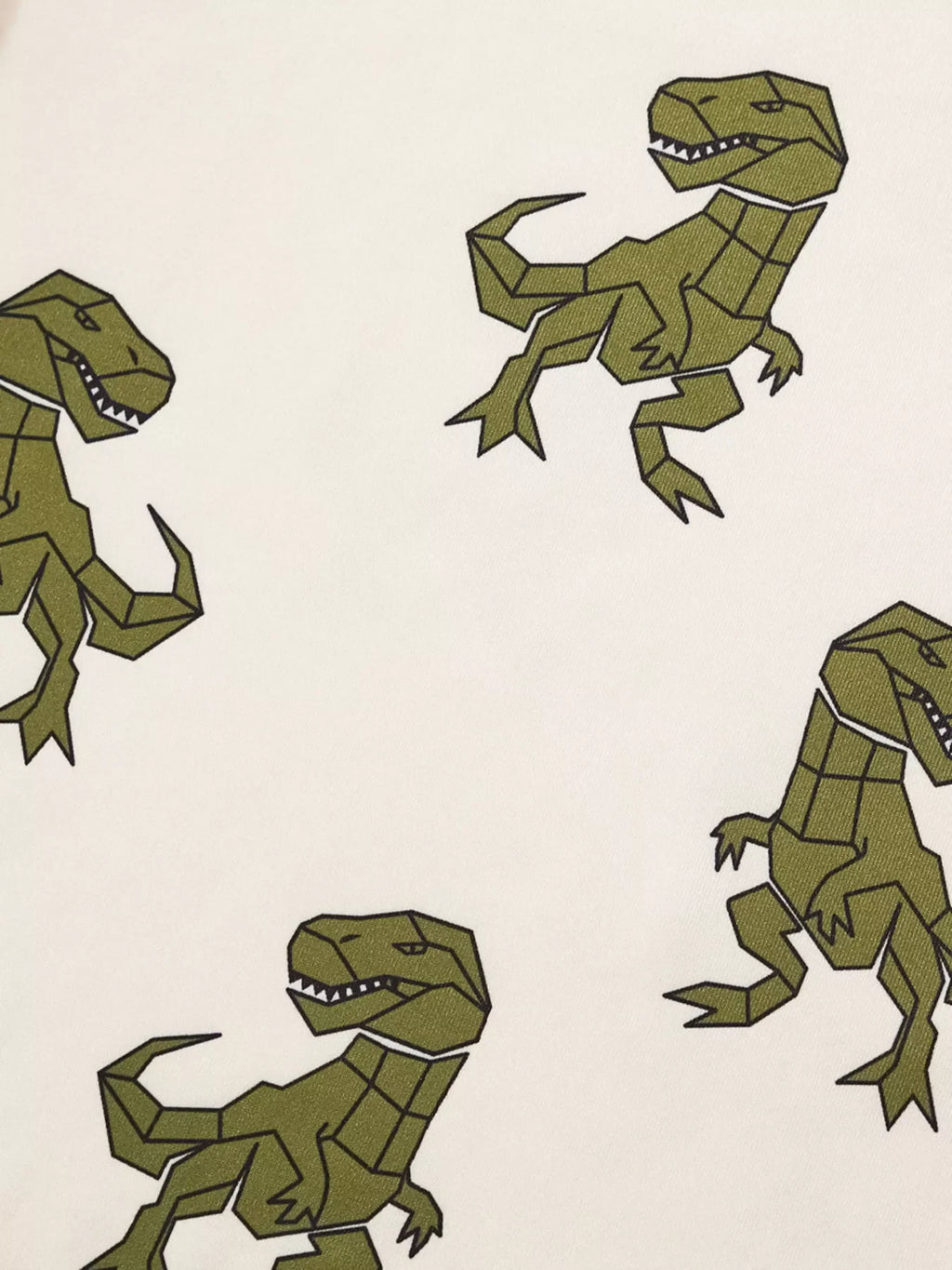 Children's Dinosaur Print Short Sleeve Tee and Shorts Set