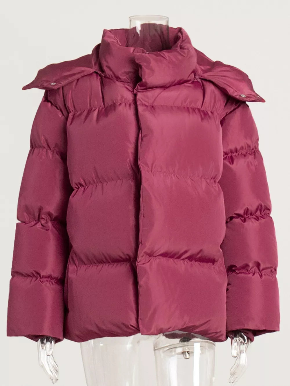Pocketed Zip Up Hooded Puffer Jacket