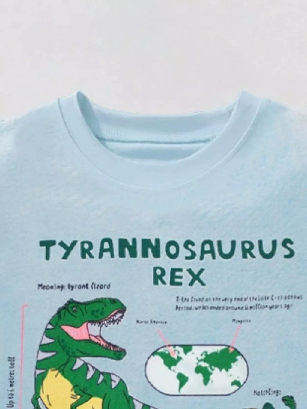 Children's Graphic Round Neck T-Shirt