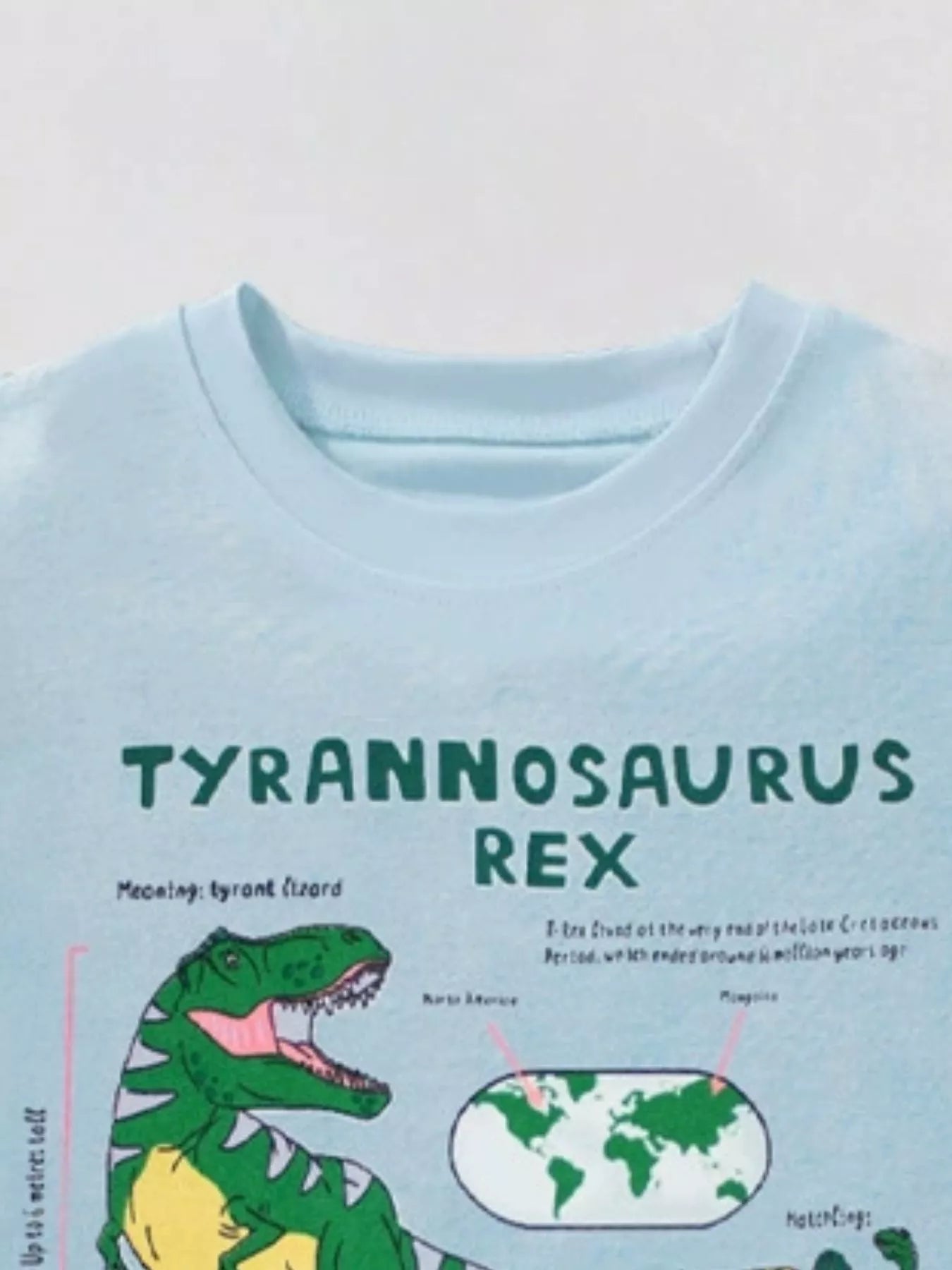 Children's Graphic Round Neck T-Shirt
