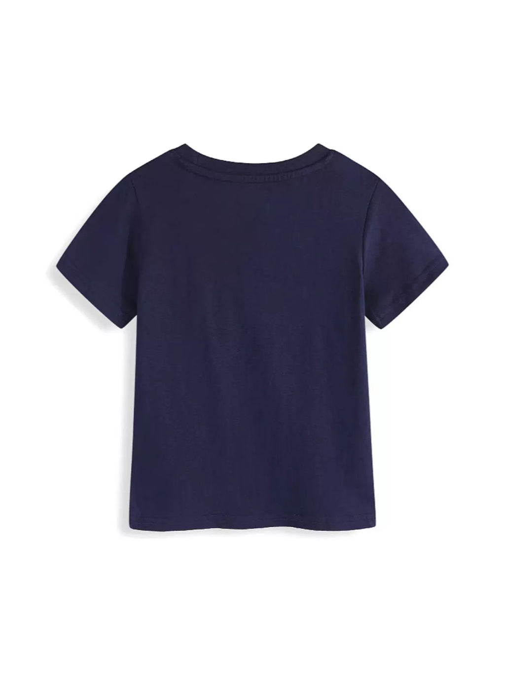 Children's Dinosaur Graphic Crew Neck Short Sleeve T-Shirt