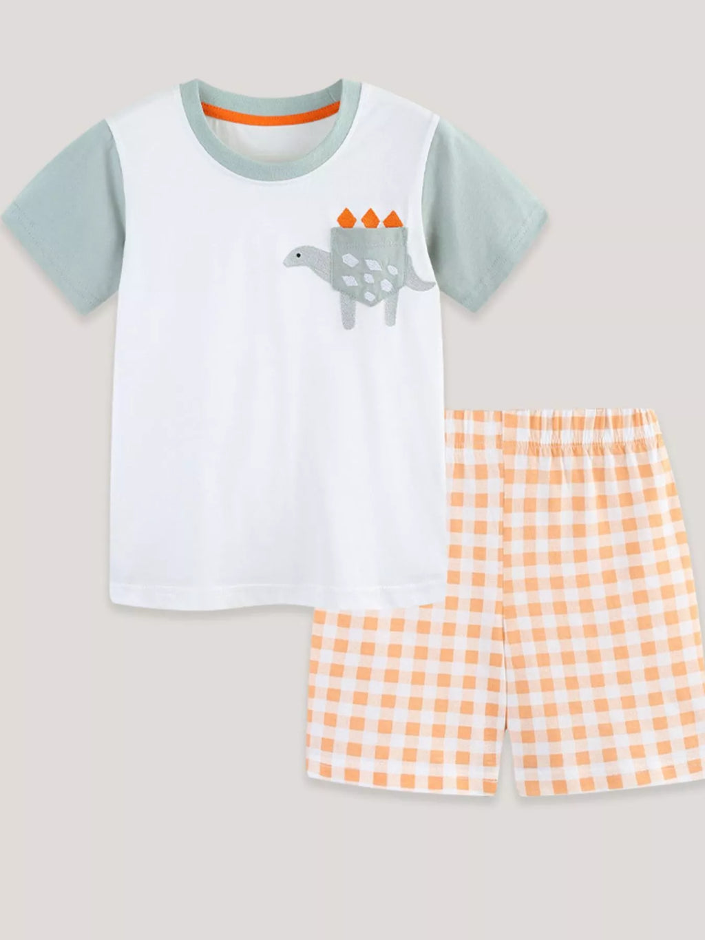 Children's Dinosaur Short Sleeve Tee and Shorts Set