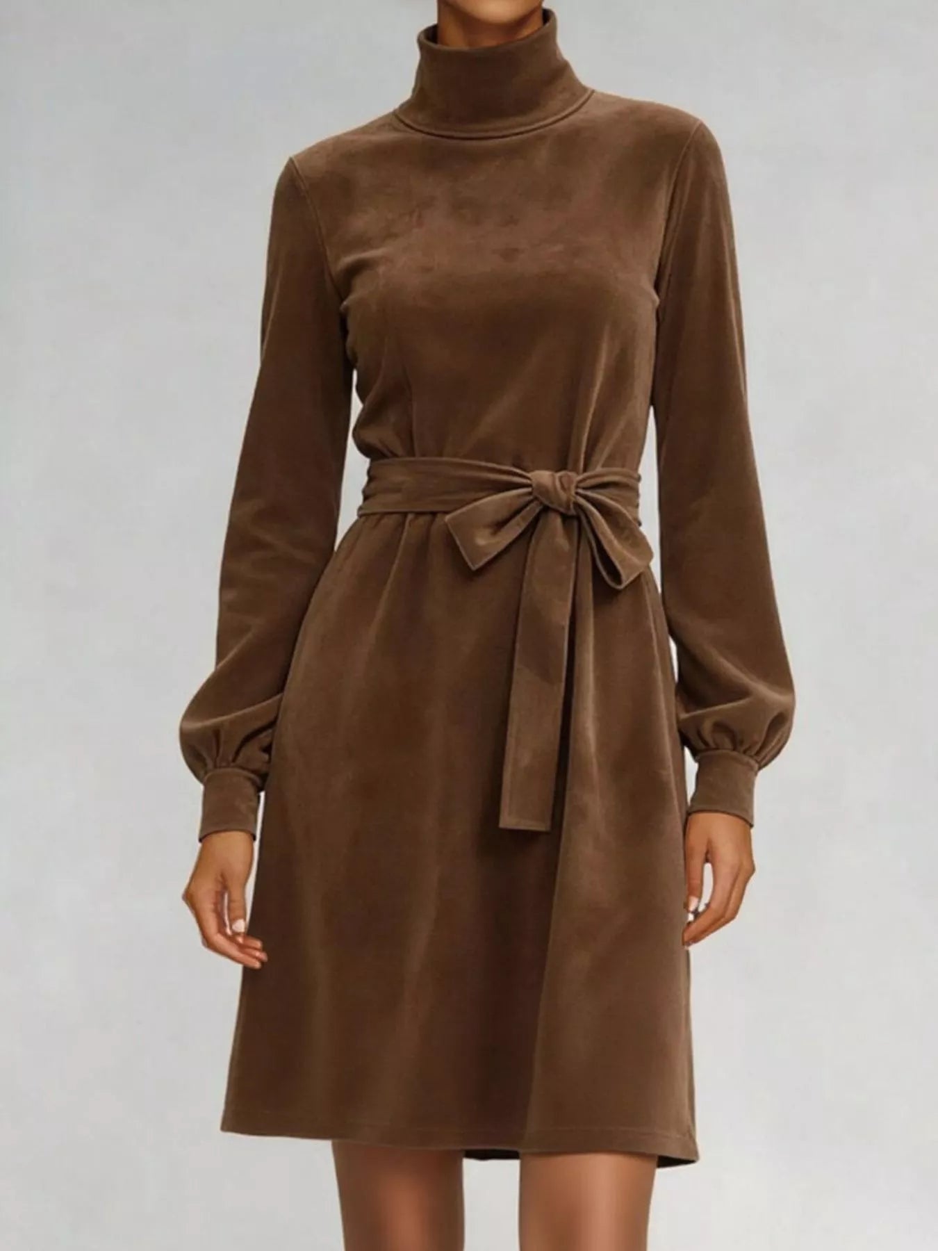 Bow Velvet Turtleneck Lantern Sleeve Dress