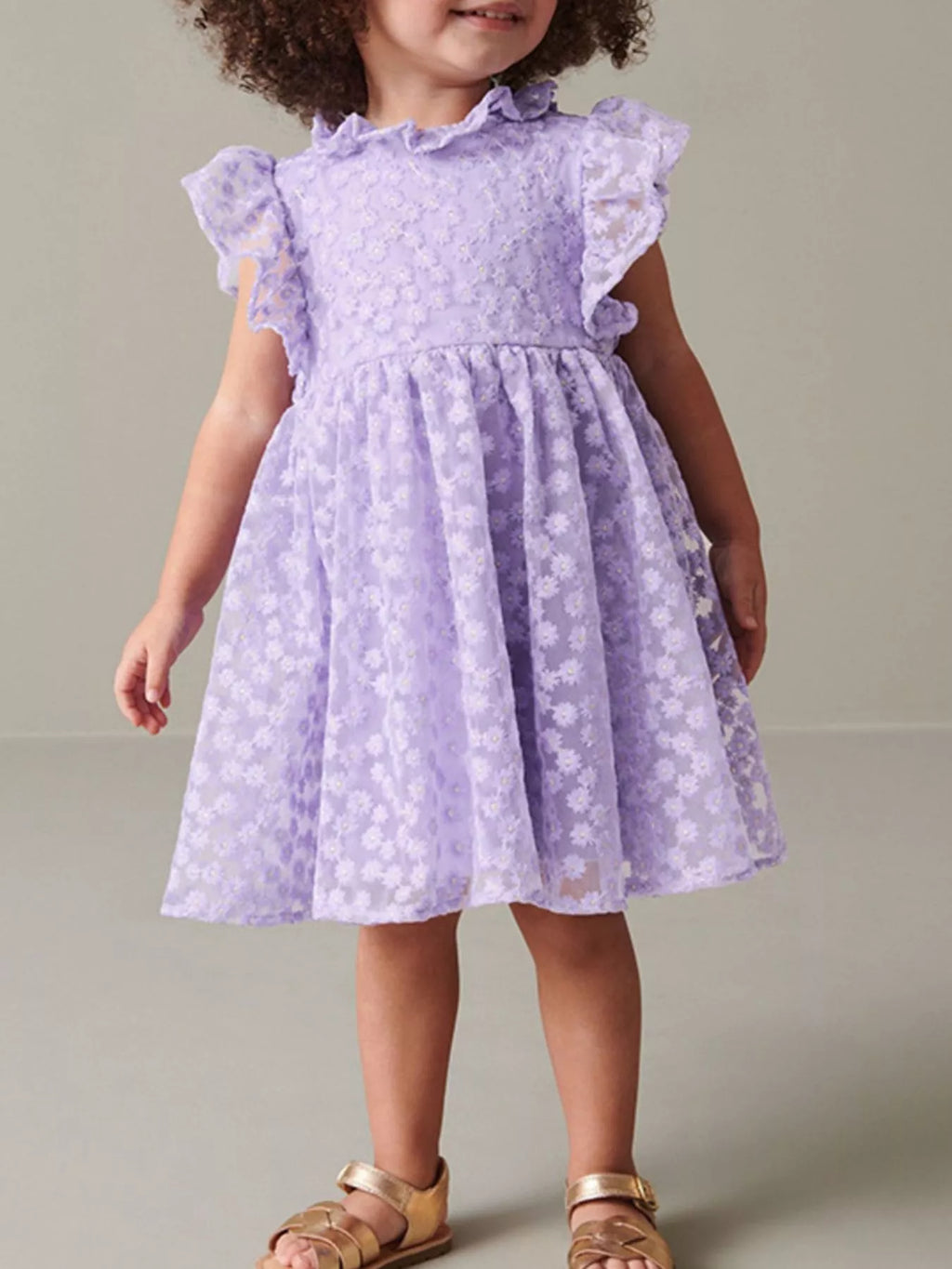Children's Floral Lace Ruffle Sleeve Party Dress
