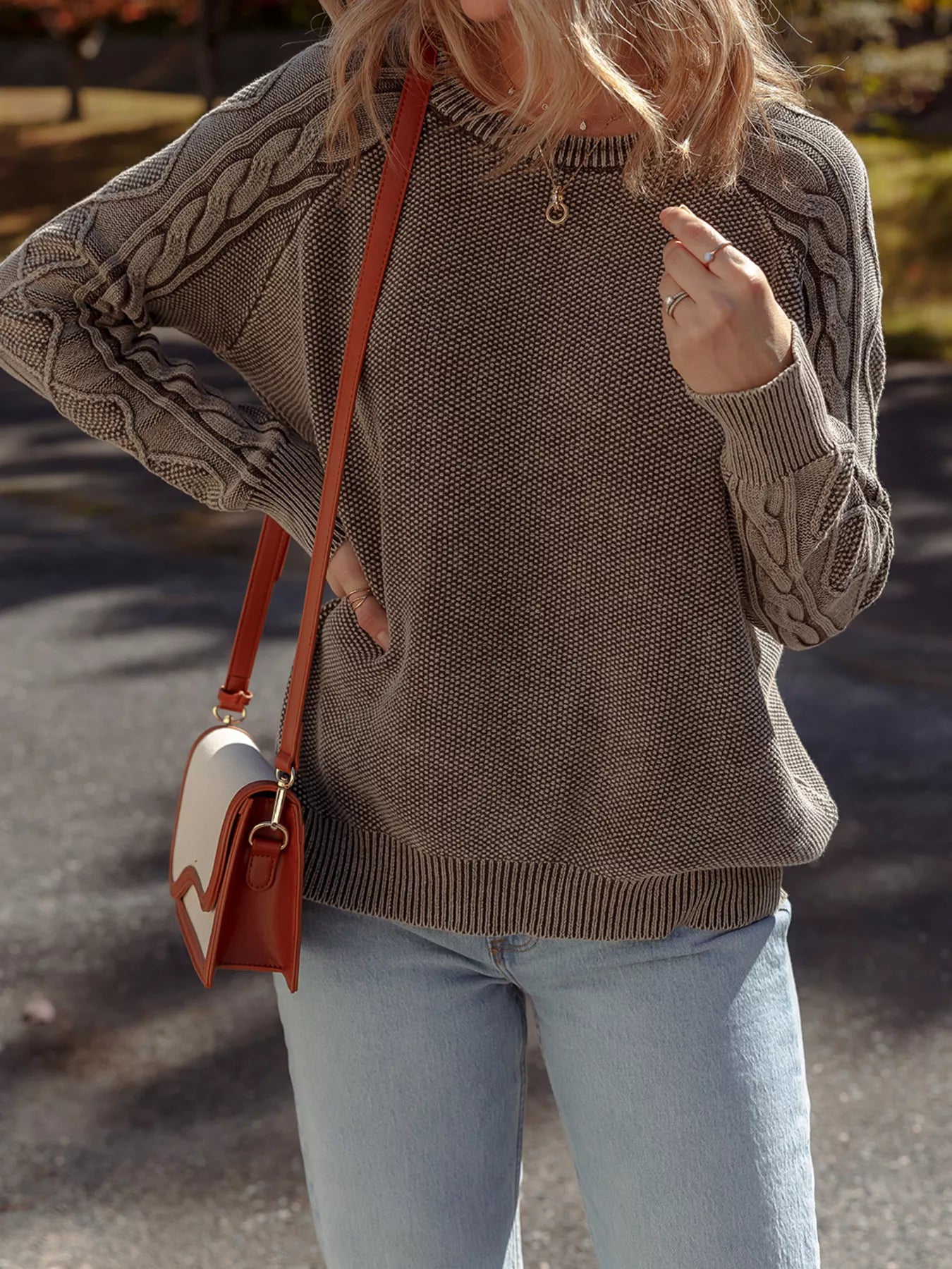 Contrast Cable Knit Sleeve Casual Sweater