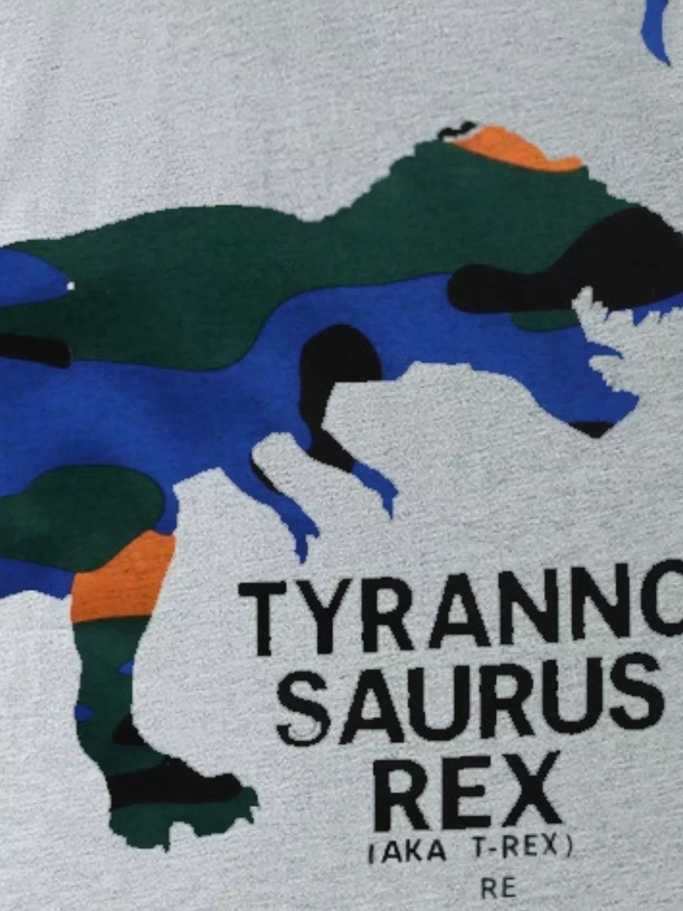 Children's Dinosaur Graphic Round Neck T-Shirt