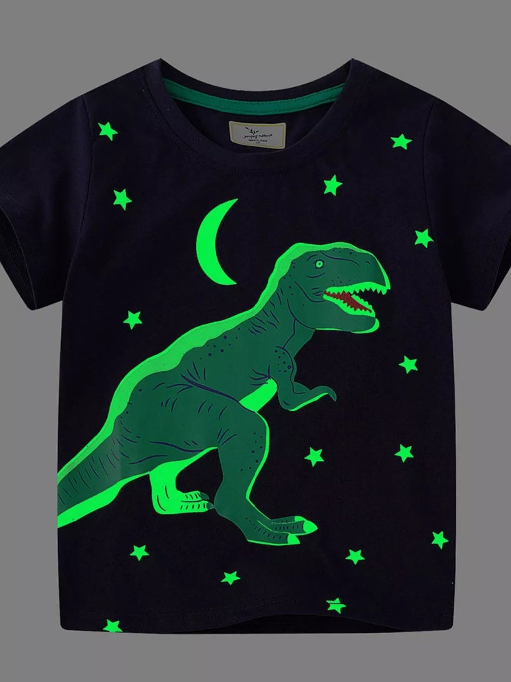 Children's Dinosaur Crew Neck Short Sleeve T-Shirt