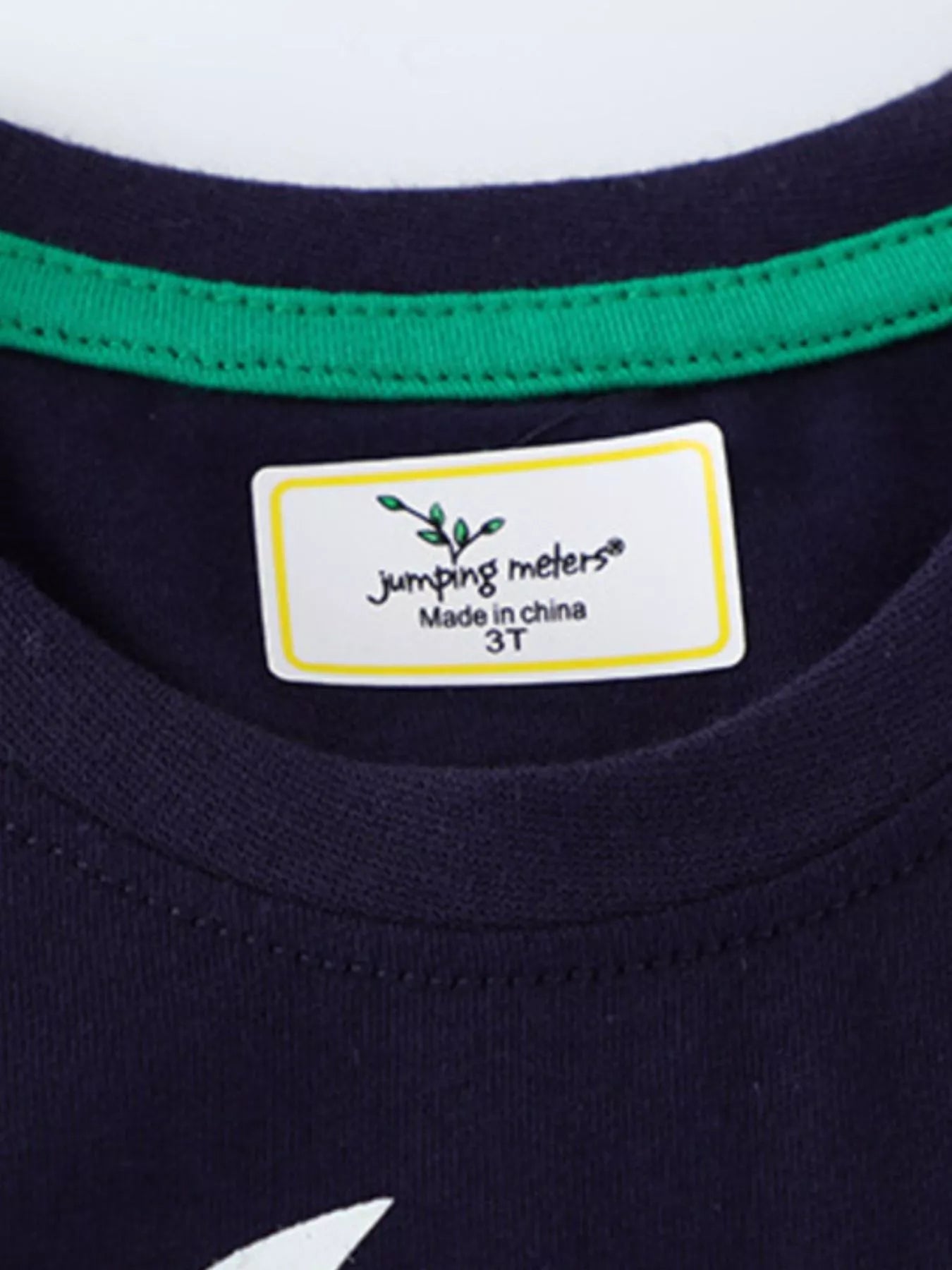 Children's Dinosaur Crew Neck Short Sleeve T-Shirt