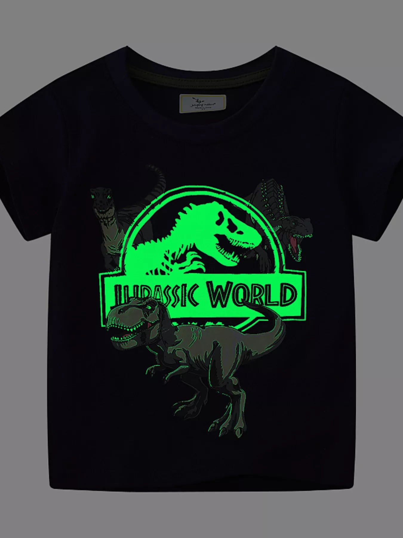 Children's Jurassic World Graphic Short Sleeve T-Shirt