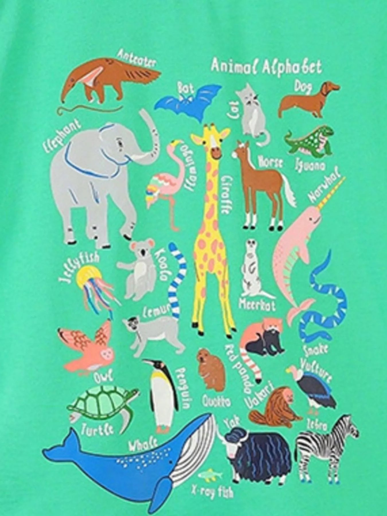 Children's Animal Alphabet Print Short Sleeve T-Shirt