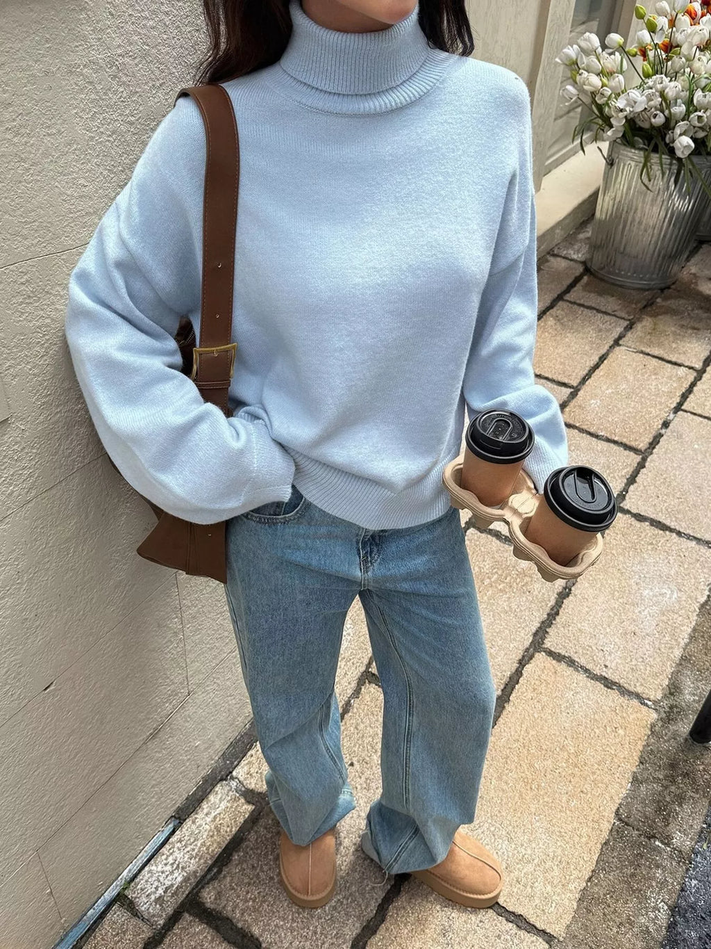 Turtleneck Long Sleeve Sweater