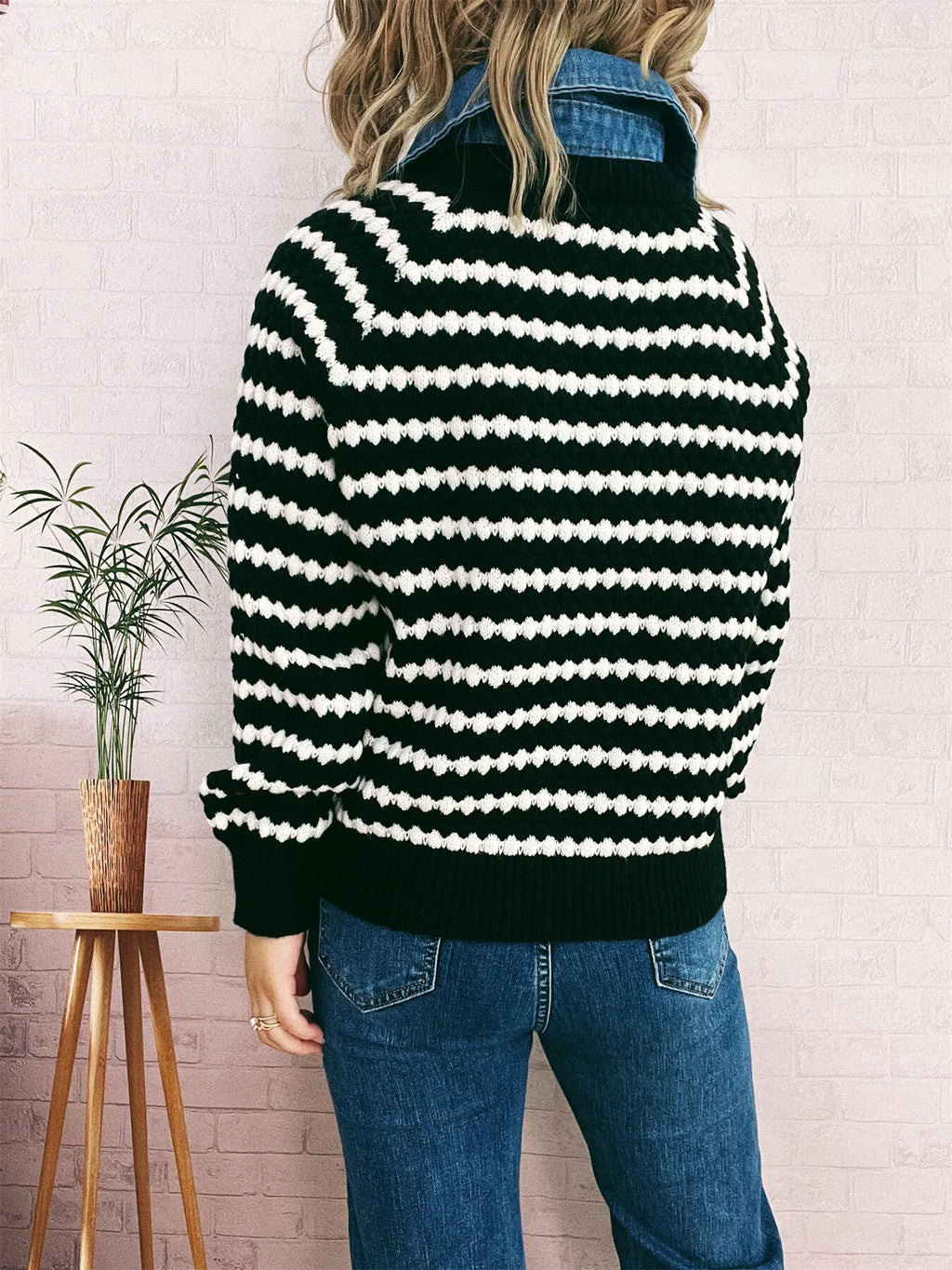Contrast Striped Sweater with Denim Collar