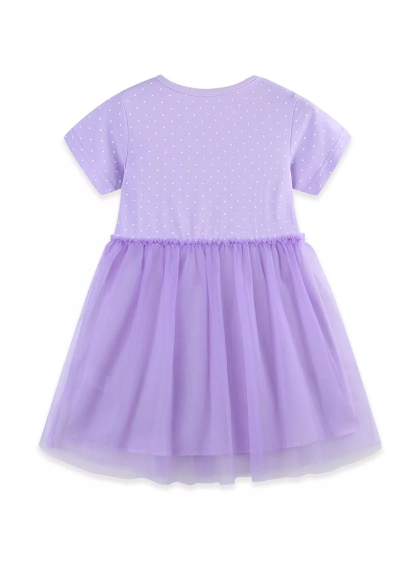 Children's Ballet Dancer Embroidered Tulle Dress