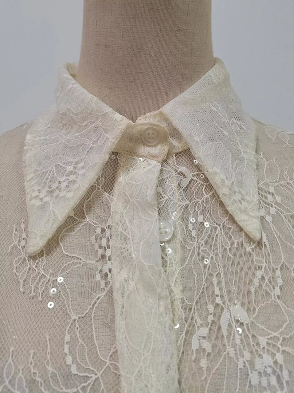 Ruffled Hem Lace Long Sleeve Dress