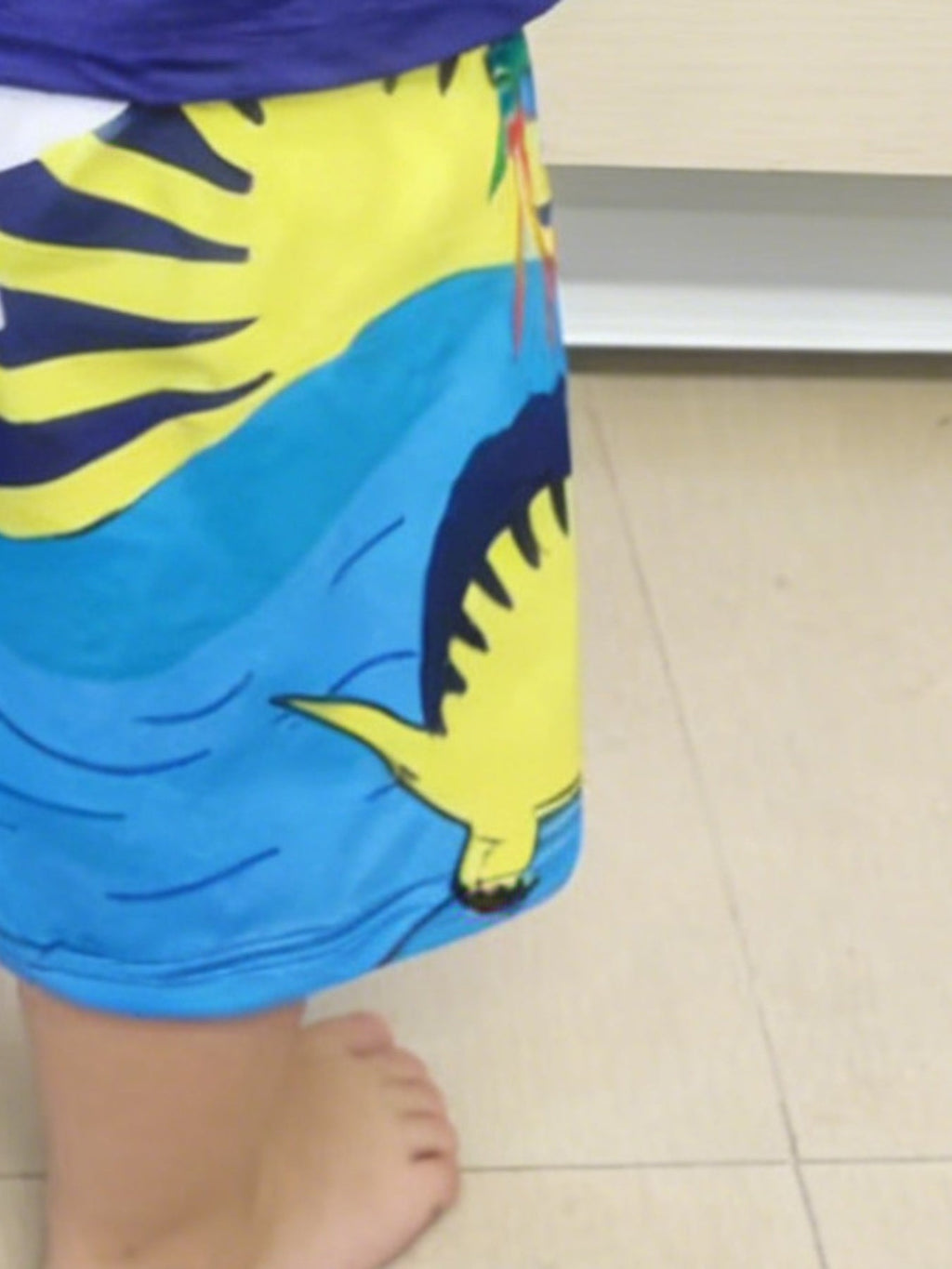 Children's Dinosaur Short Sleeve Tee and Shorts Set