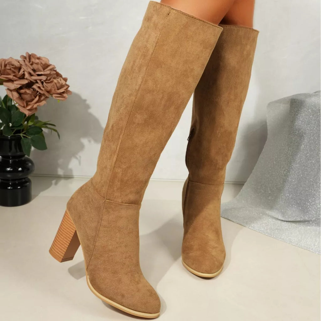 Point Toe Knee-High Suede Block Heel Boots