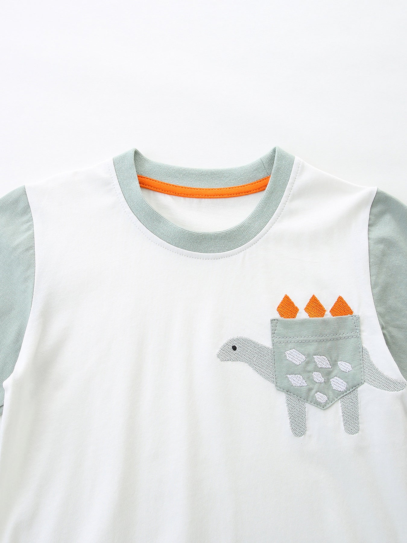 Children's Dinosaur Short Sleeve Tee and Shorts Set